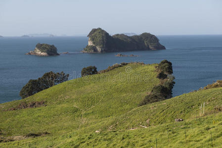 海岸与绿色草地，新西兰