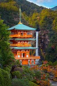 瀑布 日本 地标 历史的 佛教 佛教徒 宝塔 纳吉 遗产