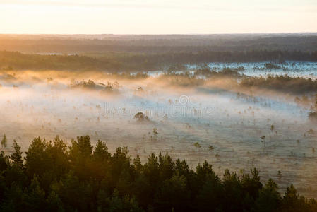 雾蒙蒙的五彩缤纷的早晨在田野上