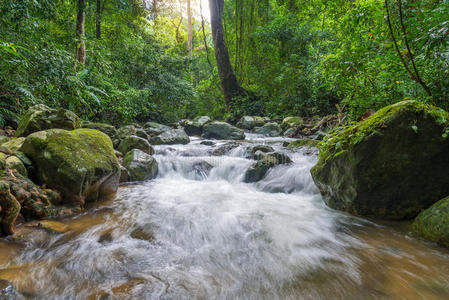 落下 公园 流动的 美丽的 丛林 天堂 自然 级联 小溪