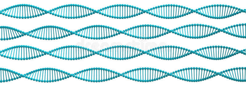 DNA螺旋结构。