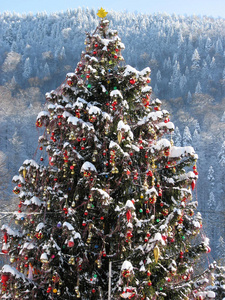冬天 假日 旅行 假期 圣诞节 喀尔巴阡山 玩具 一月 旅游业