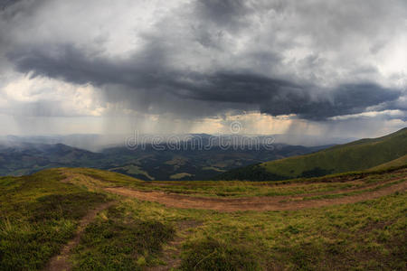 草地 森林 公园 自然 季节 伟大的 雷雨 旅行 风景 小山