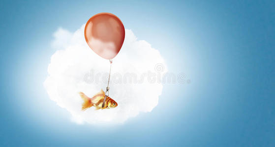 金鱼在气球上飞翔