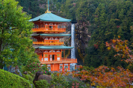 自然 宝塔 场景 日本 森林 宗教 地标 纳吉 神秘的 瀑布