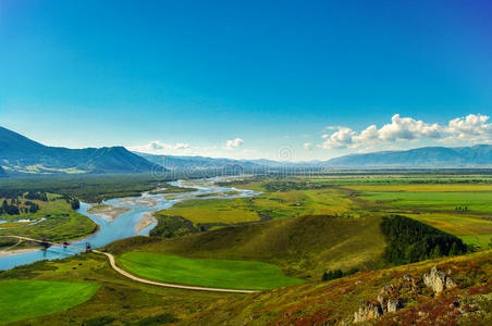 徒步旅行 领域 落下 阿尔泰 远的 农场 场景 公司 俄罗斯