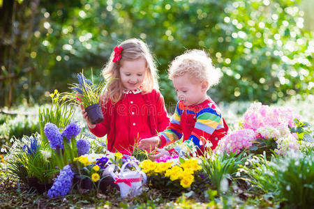 家庭 孩子们 后院 草地 照顾 水仙花 植物 男孩 农业