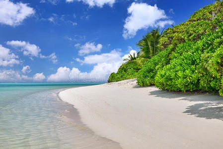 海岸线 灌木 海滩 风景 天空 冲浪 天堂 马尔代夫人 加勒比