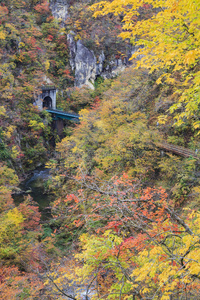 宫城 小溪 美丽的 级联 叶状 日本 峡谷 自然 公园 风景