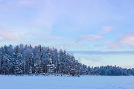 冰冻的湖泊和雪覆盖着森林