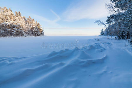 冰冻的湖岸和白雪覆盖的森林