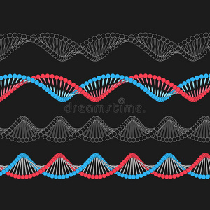 链矢量DNA。 线条艺术等距