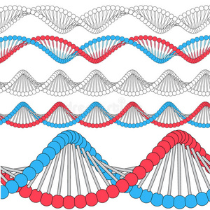 链矢量DNA。 线条艺术等距