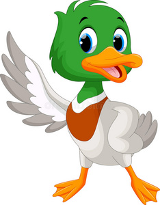 可爱的小鸭子挥舞着翅膀照片