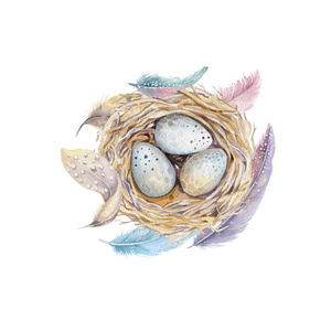 手绘水彩艺术燕窝与鸡蛋,复活节设计.照片