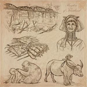 水牛 古董 古典的 天才 收集 烤架 可编辑 公牛 艺术