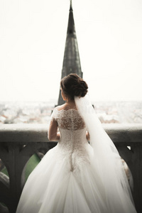 美丽的新娘在她的婚礼当天，可以看到城市的景色
