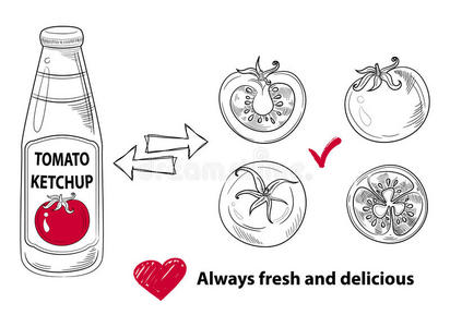 手绘装饰西红柿手绘墨水西红柿草图集照片