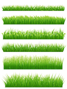 绿色的草边设置在白色上