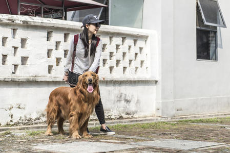 女孩和她的金色猎犬