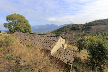 丁村村，一个美丽的茶村