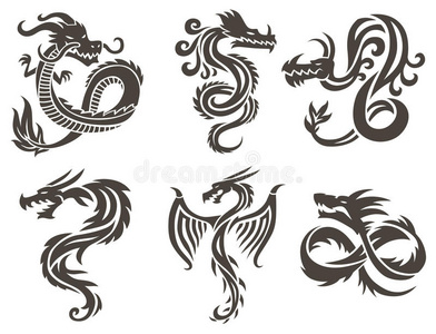 中国龙在白色背景矢量插图.照片