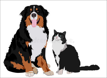 站在一条横幅后面猫和小狗正站着金白色戴上口套举牌子的小猫站特写姜