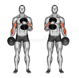 身体图片 身体素材 身体插画 摄图新视界