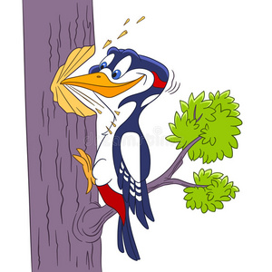 可爱的卡通啄木鸟照片