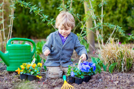 小男孩在花园里园艺和种花