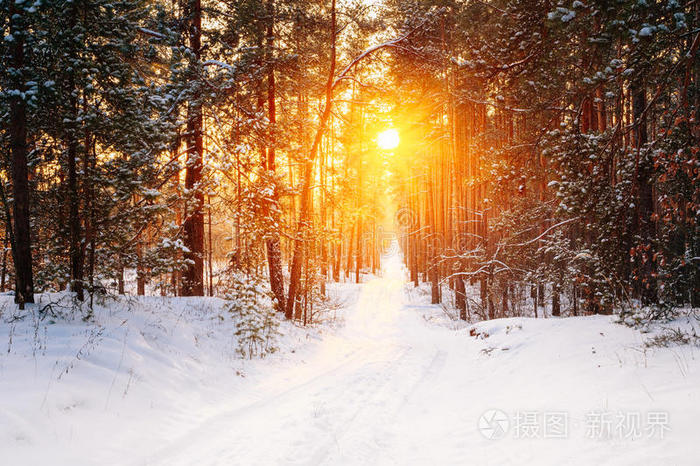 惊人的美丽日落日出太阳阳光在阳光明媚的冬天Sn