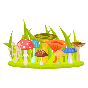 草坪蘑菇草地草坪上的森林蘑菇矢量插图.照片