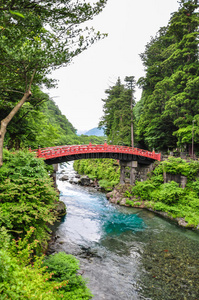 旅游业 寺庙 日本人 联合国教科文组织 秋天 文化 旅行者