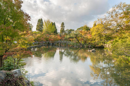 建筑学 遗产 古老的 地标 花园 自然 秋天 三岛 樱花