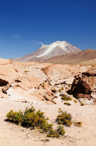 国家的 美丽的 颜色 拉贡 拉古纳 冒险 弗拉门戈 沙漠