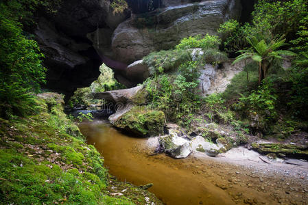 形成 灌木 小山 小溪 蜂巢 南方 自然 丛林 近岸 全景图