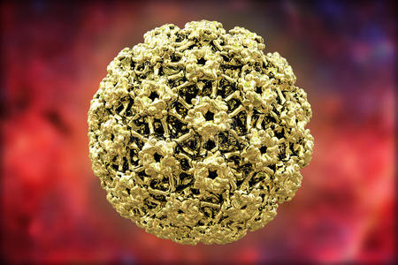 细胞 状瘤病 人瘤病毒 微粒 健康 真实的 人类