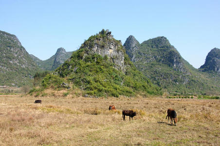 风景 美女 美丽的 桂林 高峰 丘陵 岩石 仙境 瓷器 喀斯特