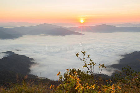 小山 农场 风景 高的 农业 乡村 芝加哥 花园 自然 卢尔