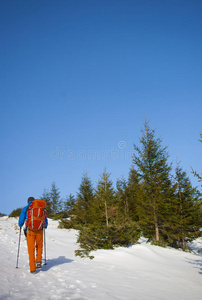 森林 男人 露营 外部 行李 活动 天空 健身 冒险 登山者