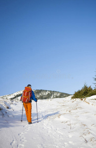 营地 登山者 徒步旅行 冒险 露营 攀登 健身 背包 森林