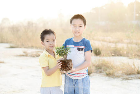 男孩带着小植物