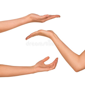持有 棕榈 拇指 白种人 女人 成人 手指 手势