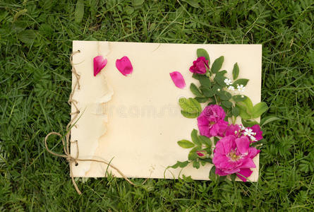 手工画垫与花和叶子的野生玫瑰