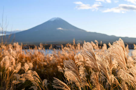 日本人 风景 落下 美女 天空 自然 攀登 模糊 川崎 场景