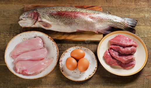 平衡 三文鱼 牛肉 能量 饮食 蛋白质 产品 鸡蛋 高的