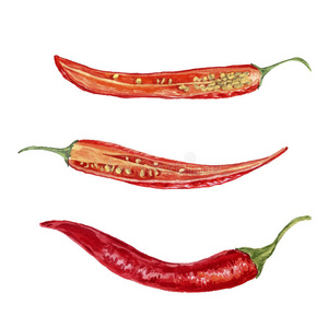 墨西哥人 食物 绘画 墨西哥胡椒 烹调 颜色 热的 艺术