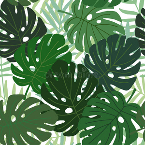 丛林 棕榈 绘画 自然 树叶 分支 假日 森林 时尚 海滩