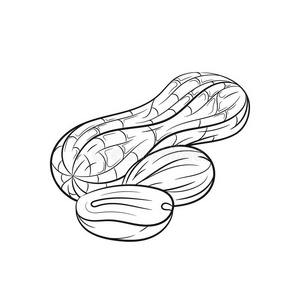 花生花生花生花生木质背景的贝壳花生上面的花生木桌上的花生壳特写