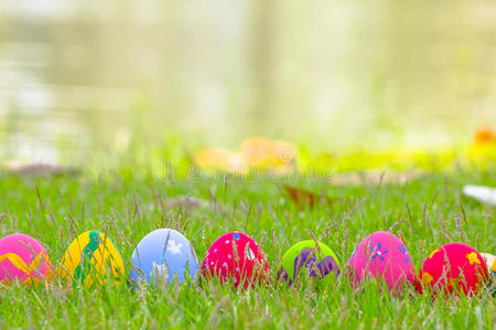 草地鲜花五颜六色的复活节彩蛋在草地上装饰着鲜花照片